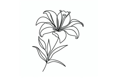 Lily flower blooming one continuous line art drawing vector