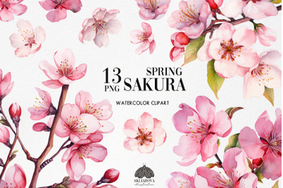 Watercolor Sakura Clipart