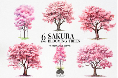Spring Sakura Trees