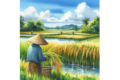 Farmer working on paddy field