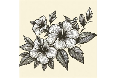 hand drawing hibiscus flower o set