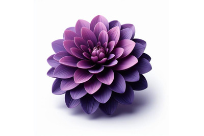 Purple dahlia flower isolated on white background. Trendy fashion styl