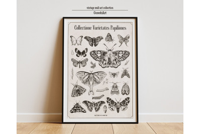 Vintage Butterfly wall art Prints, digital Print, Butterflies Collecti