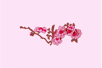 Festive Sakura isolated on pink background. Oriental traditional, outl