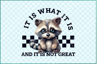 It Is What It Is, And It Is Not Great Racoon T-Shirt Design, Sarcastic Funny Graphic Tee PNG, Trending Sublimation Design, Digital Download