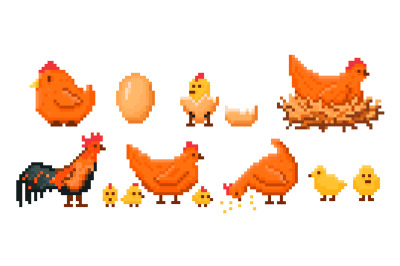Farm chicken pixel art. Chick hatching from egg&2C; hen on nest&2C; rooster