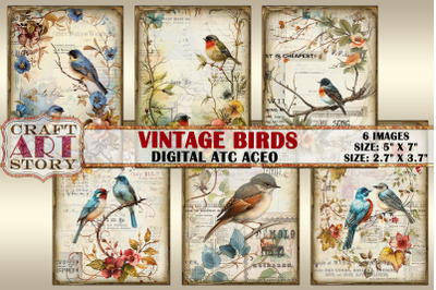 Vintage birds card set,Collage picture cards Atc ACEO