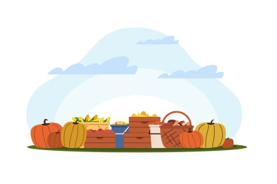 Fall harvest, baskets and boxes of vegetables and harvested fruit. Far