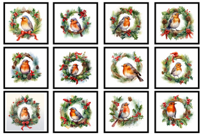 Christmas Robin Bird Clipart Bundle