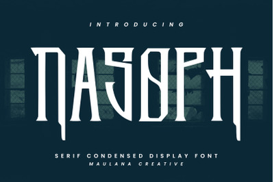 Nasoph Serif Condensed Display Font