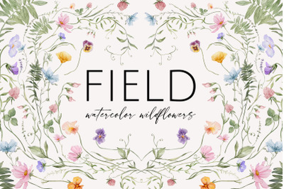 FIELD watercolor wildflowers