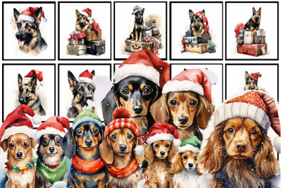 Watercolour Christmas Dog 25 PNG Bundle