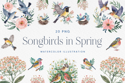 Songbirds in Spring