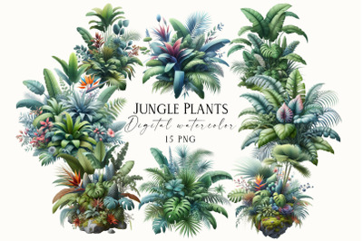Watercolor Jungle Plants Clipart