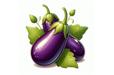 8 The eggplant Isolated on white  bundle