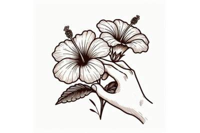 8 hand drawing hibiscus flower ou bundle