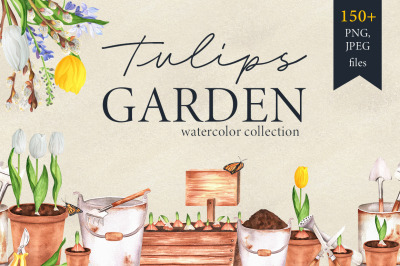 Watercolor Tulips Garden Collection