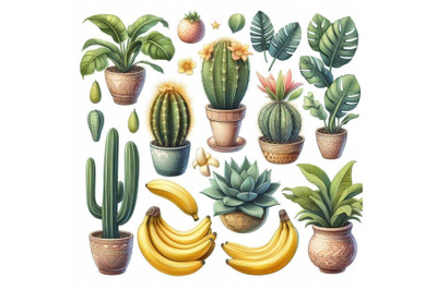 8 beautiful tropcal set with bana bundle