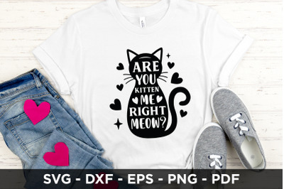 Are You Kitten Me Right Meow | Cat SVG