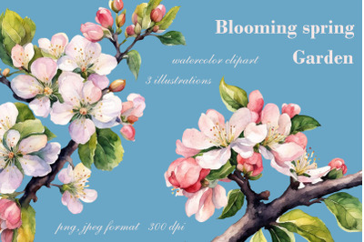 Blooming garden watercolor clipart. Spring.