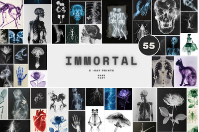55 Immortal X-ray Print Posters