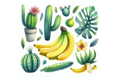 4 watercolor.Cute tropcal set with bananas, cacti and leaves. Isolated