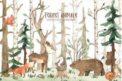 Forest animals watercolor