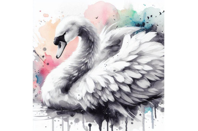 4 White swan with long plumage, in monochrome graphic design Colorful