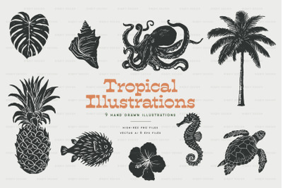 Vintage Tropical Illustrations