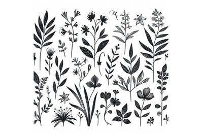 4 Botanical floral sketch&2C; garden design element