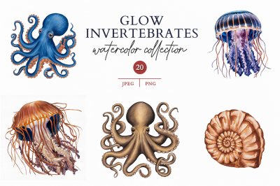 Glow Invertebrates
