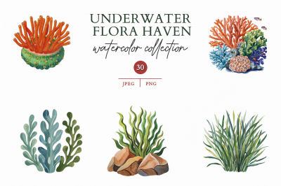 Underwater Flora Haven