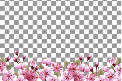 Horizontal border with pink sakura