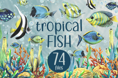 Tropical fish watercolor clipart
