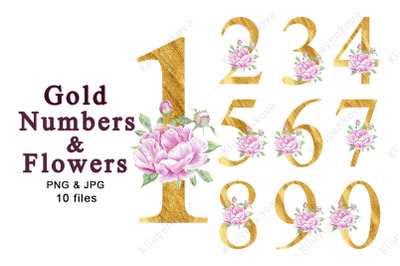 Numbers Flower Gold Peony Rose Watercolor Clipart