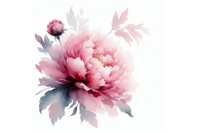 4 Delicate watercolor pink peony