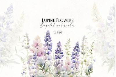 Lupine flowers