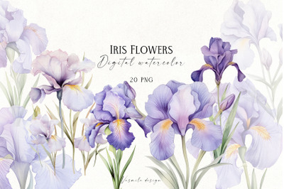 Iris flowers