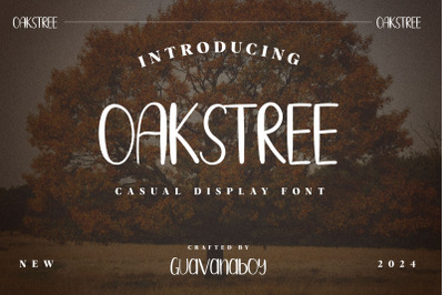 OAKSTREE - Casual Brush Display Font