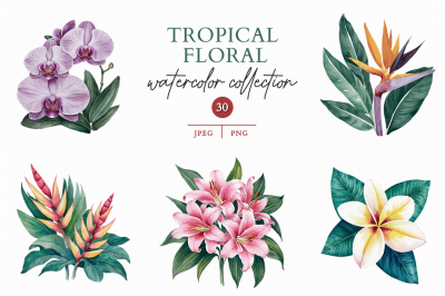 Tropical Floral