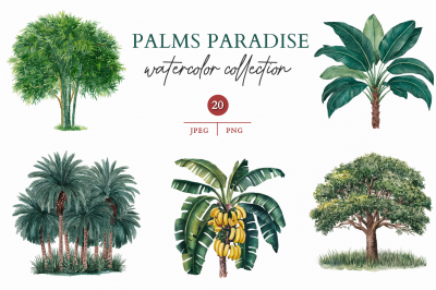Palms Paradise