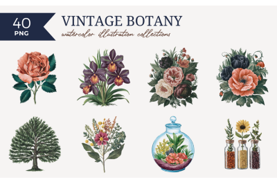 Vintage Botany
