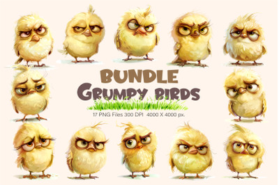 Grumpy cute birds 01. TShirt Sticker.