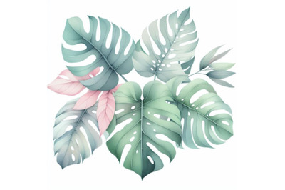 bundle of Tropical monstera leaves in a minimalist style