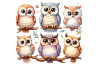 bundle of five different funny owls sitting on a branch