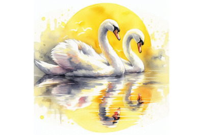 Bundle of Swan Reflections. A swan