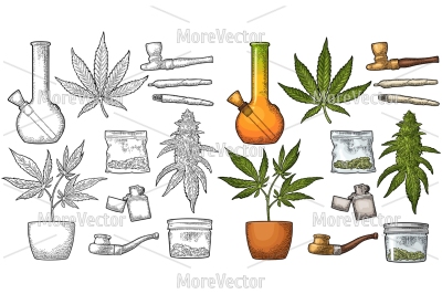 Set Marijuana. Vintage black and color vector engraving 