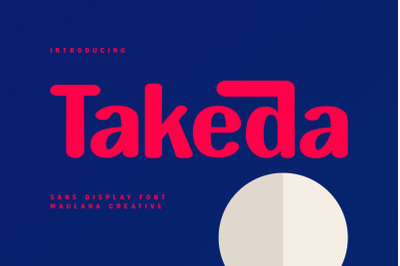 Takeda Sans Display Font Rounded