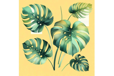 Bundle of Tropical monstera leaves in a minimalist style