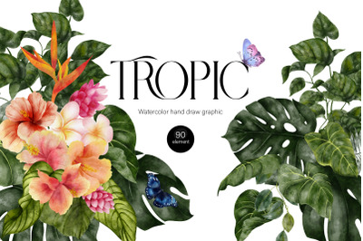 Tropic. Watercolor hand draw graphic